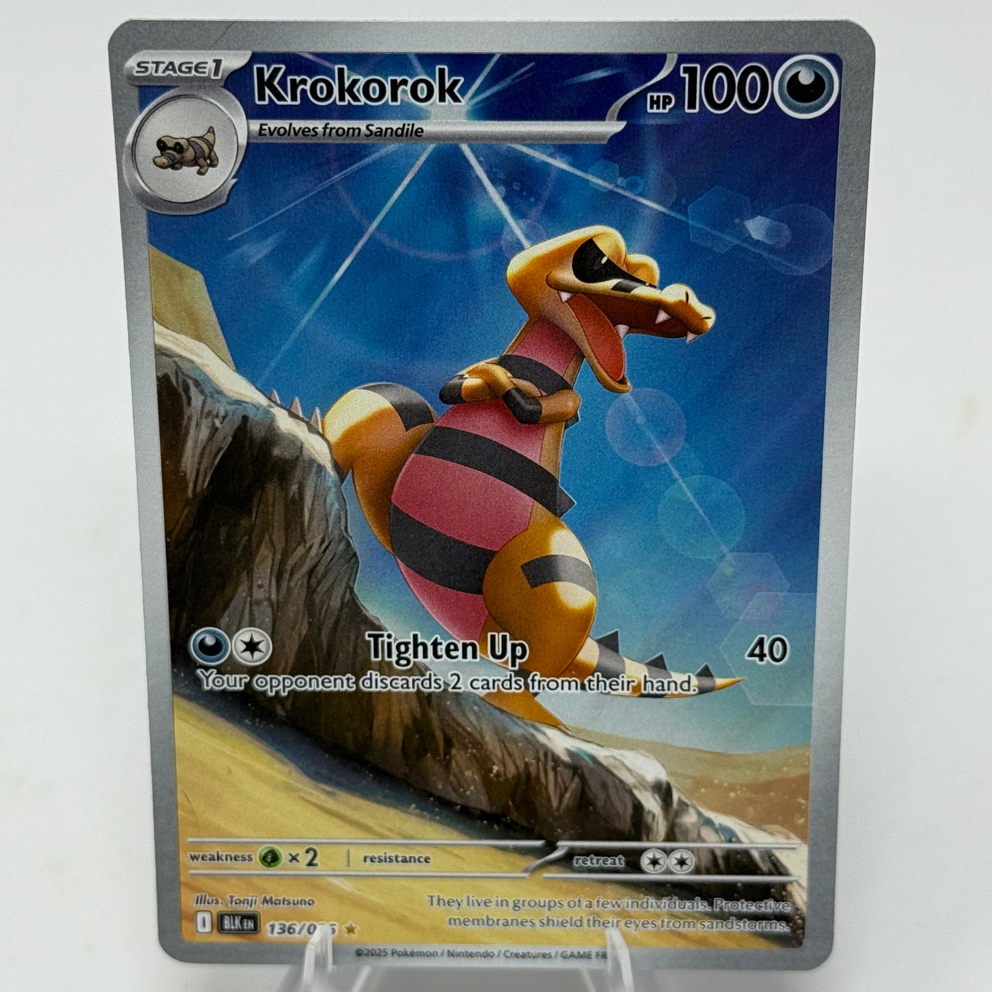 Krokorok #136