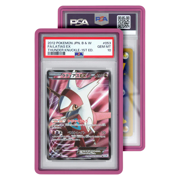 Standard Case (PSA)