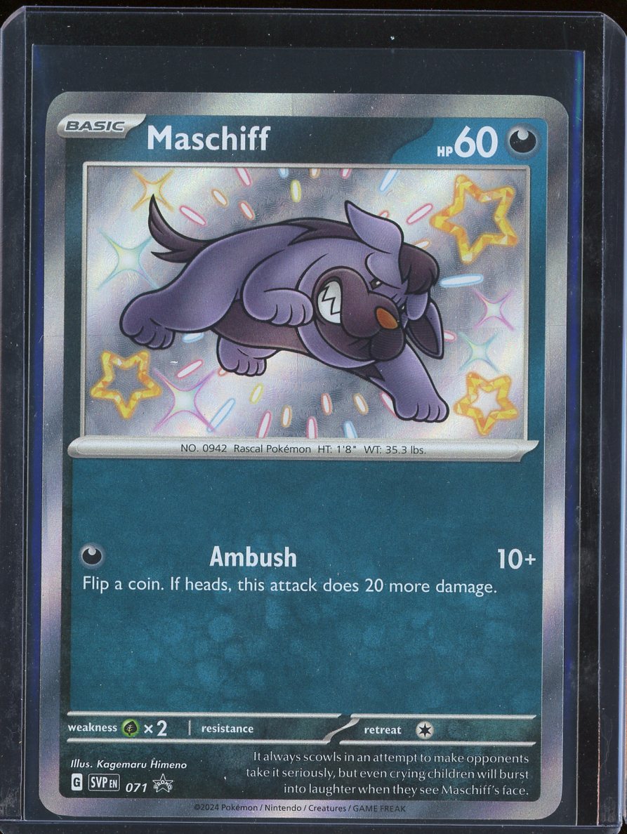 Maschiff 071 Scarlet & Violet Promo
