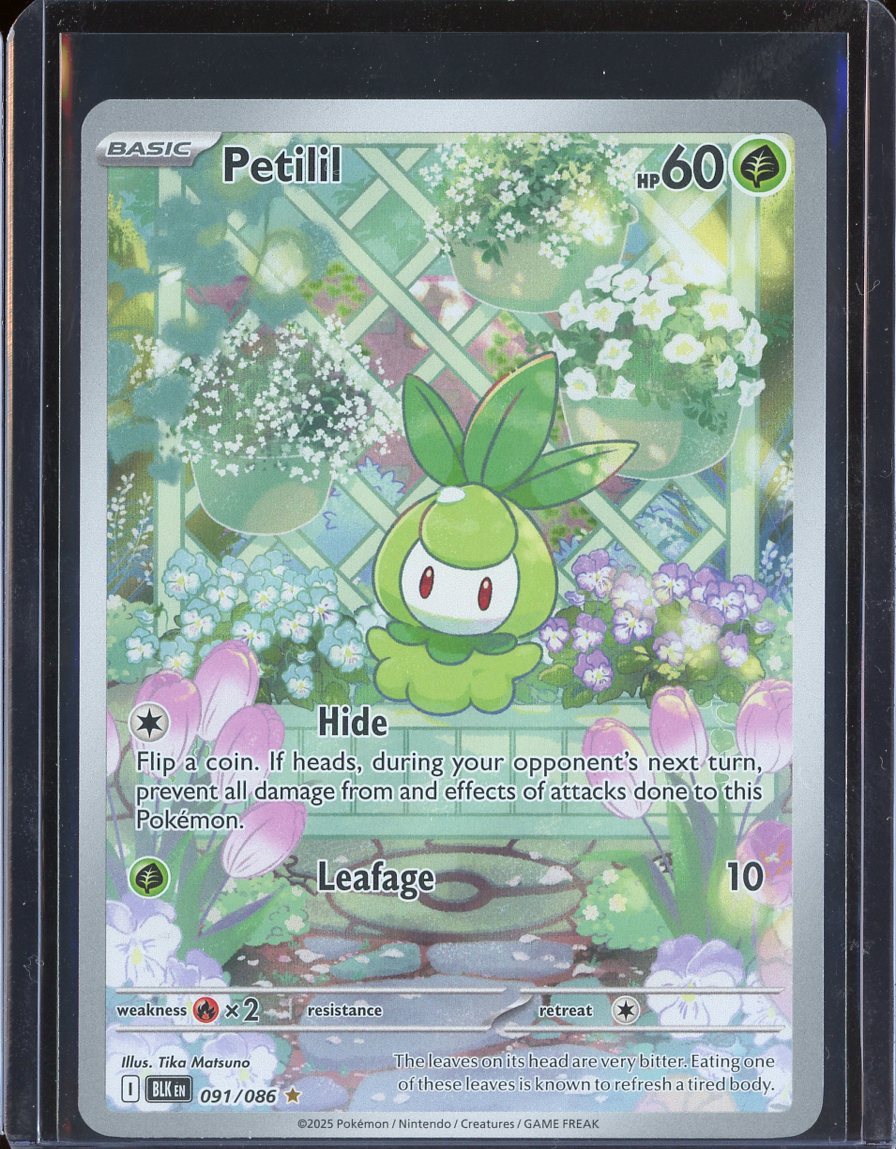 Petilil 091/086 Black Bolt