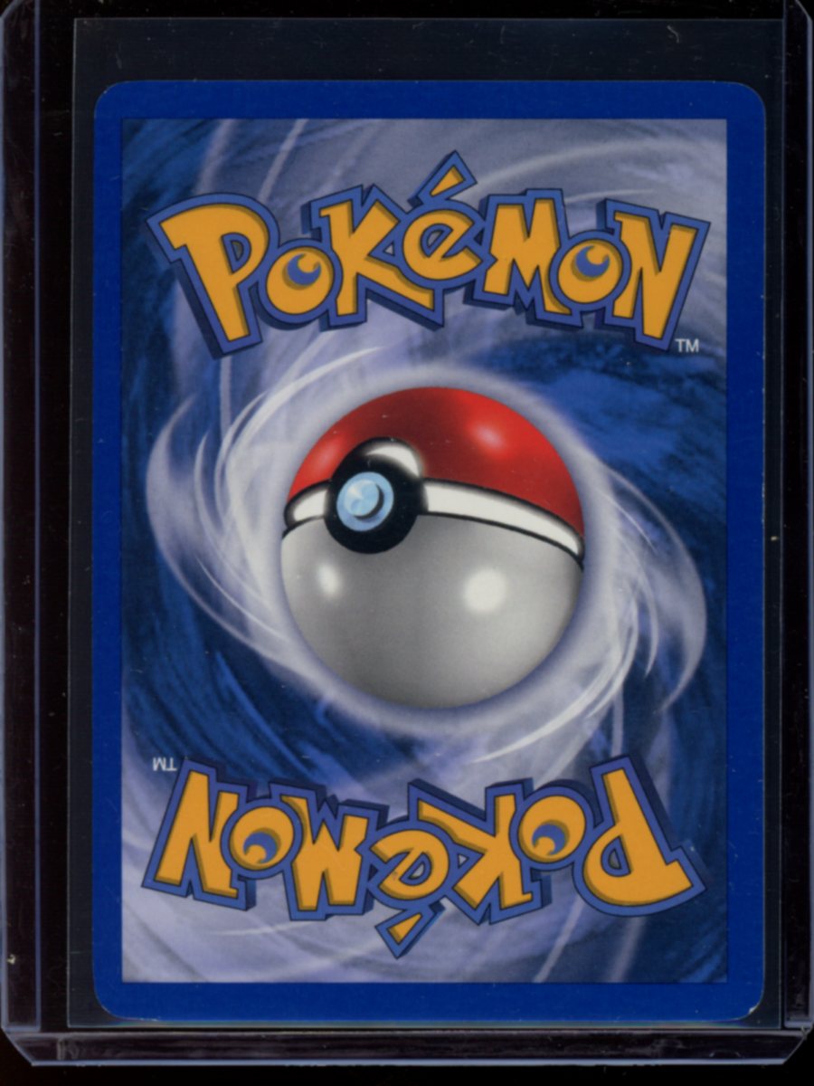 Squirtle #14