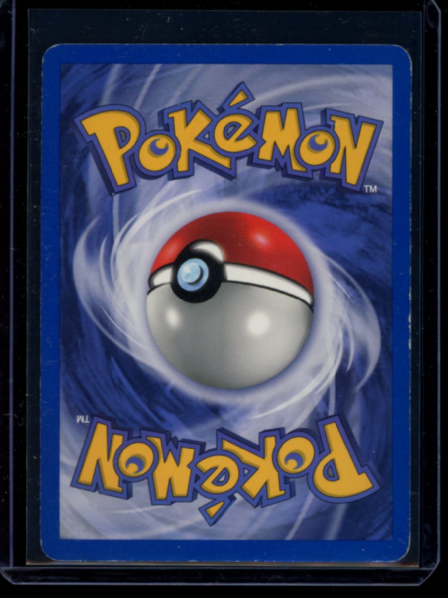 Dark Persian (WOTC) #17