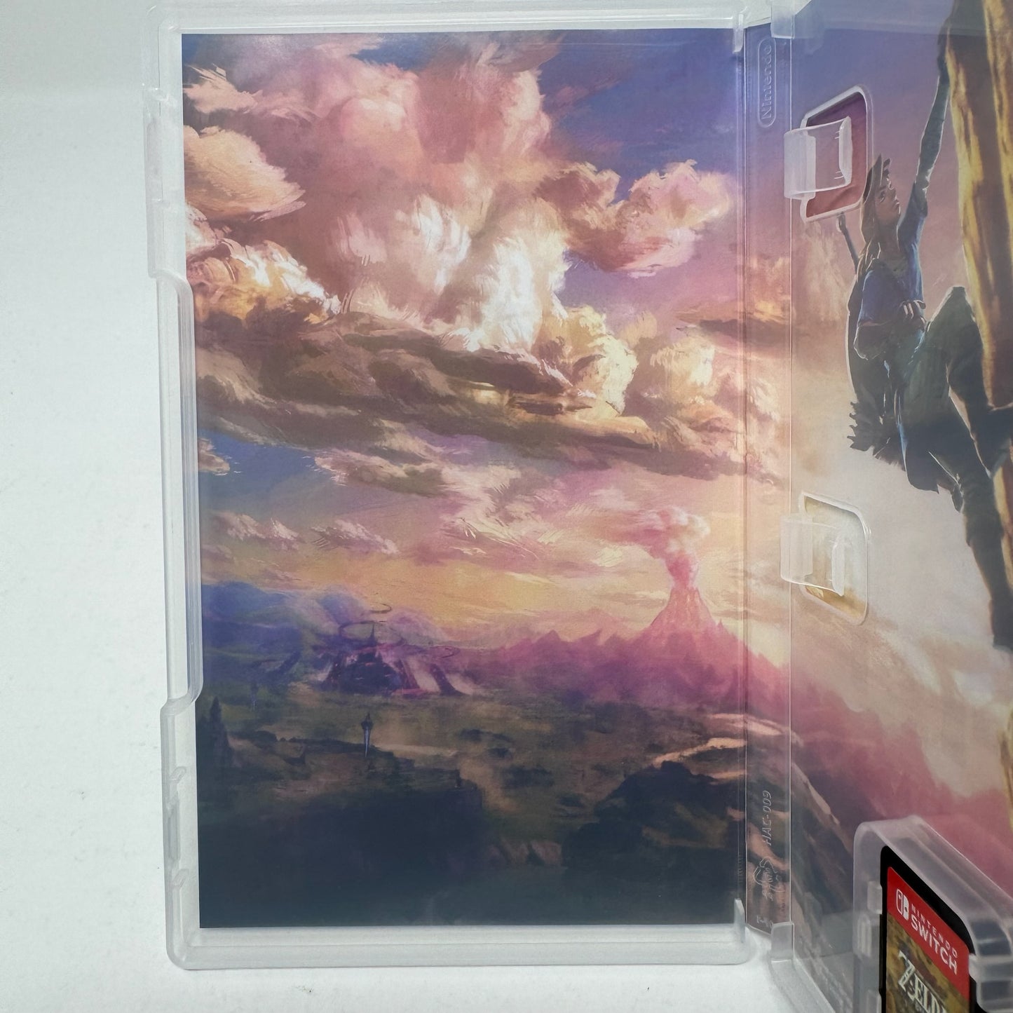 The Legend of Zelda: Breath of the Wild Switch