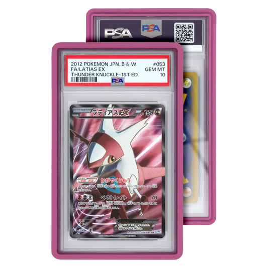 Standard Case (PSA)