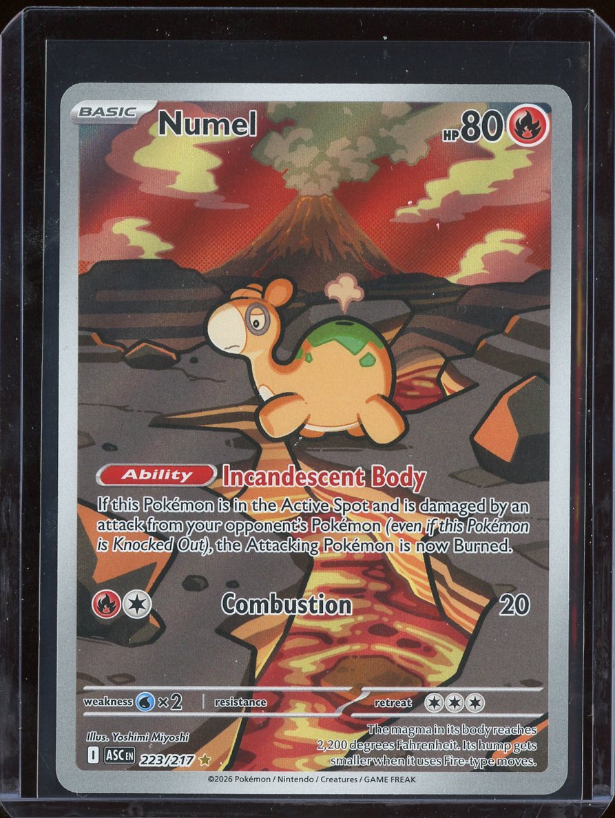 Numel #223