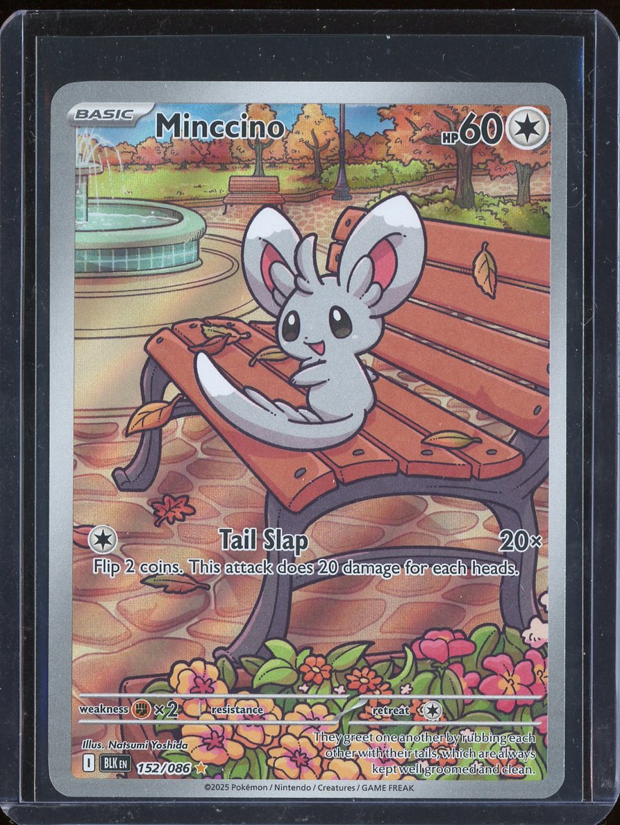 Minccino 152/086 Black Bolt