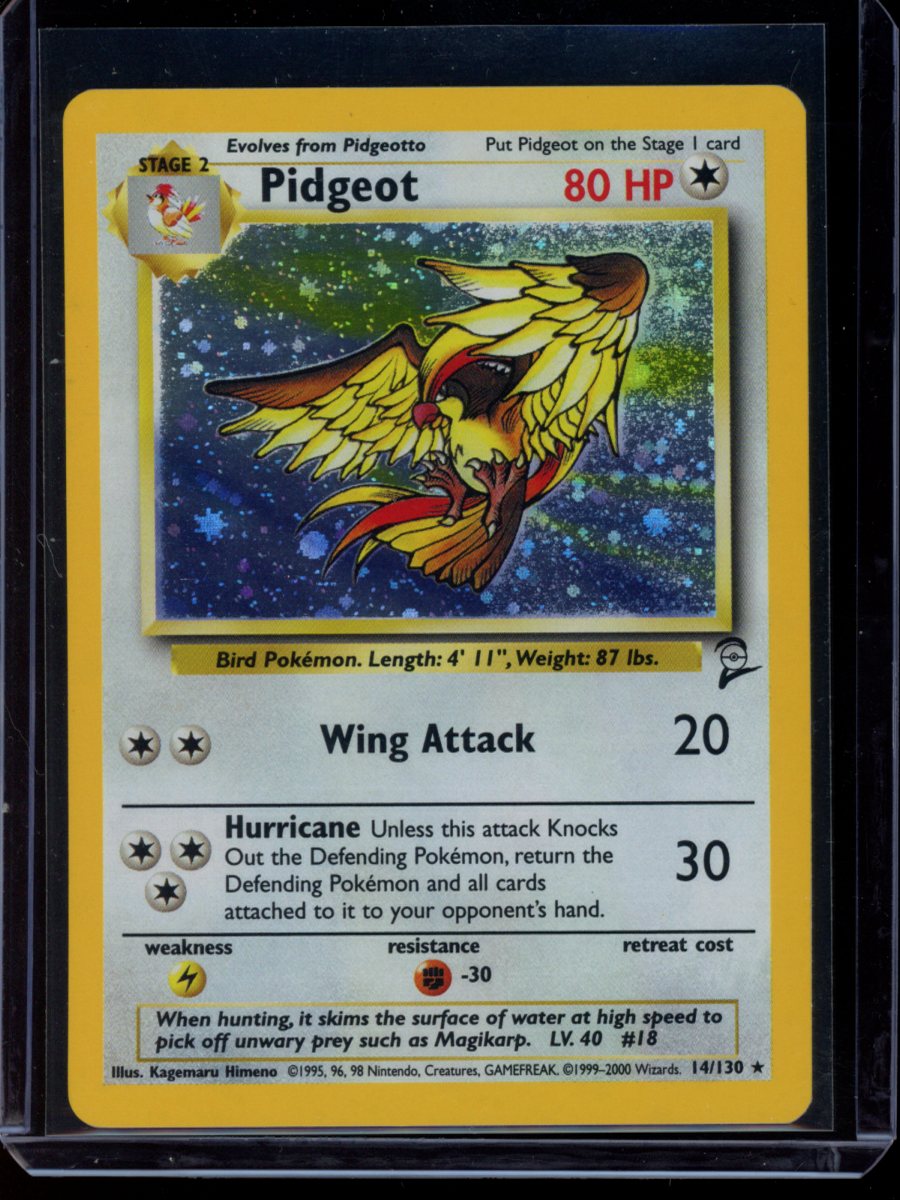 Pidgeot (Holo) #14
