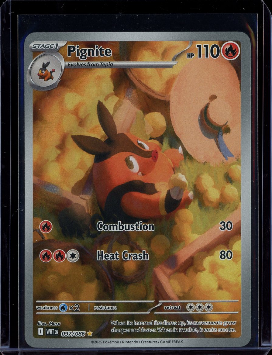 Pignite #097