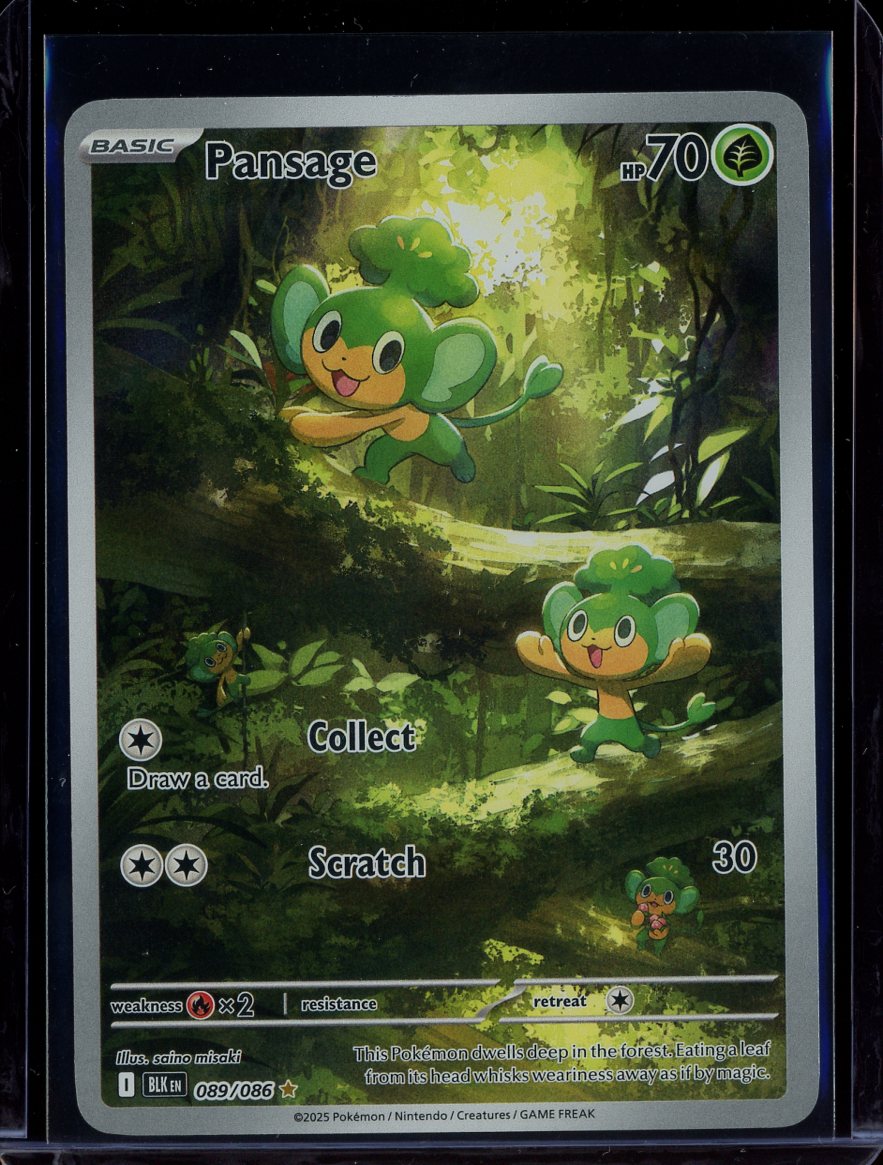 Pansage #089