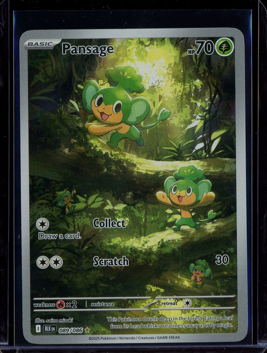Pansage #089
