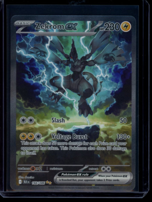 Zekrom ex #166