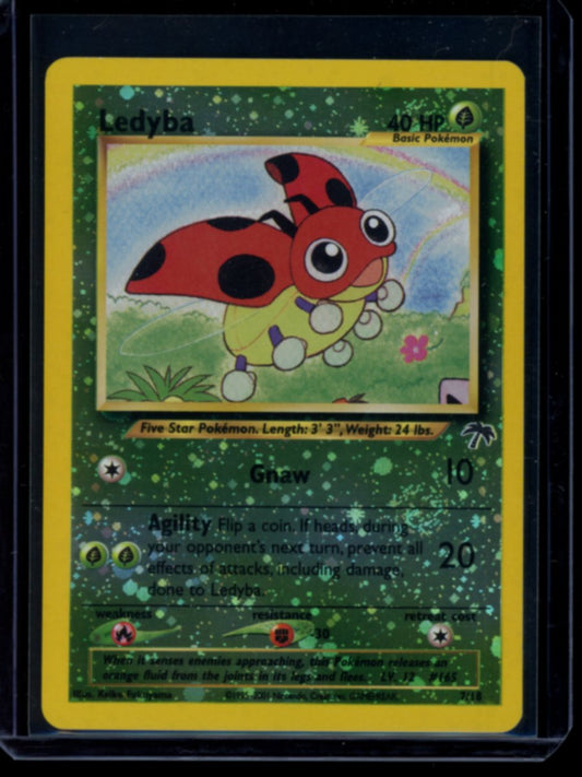 Ledyba (Southern Island) #7