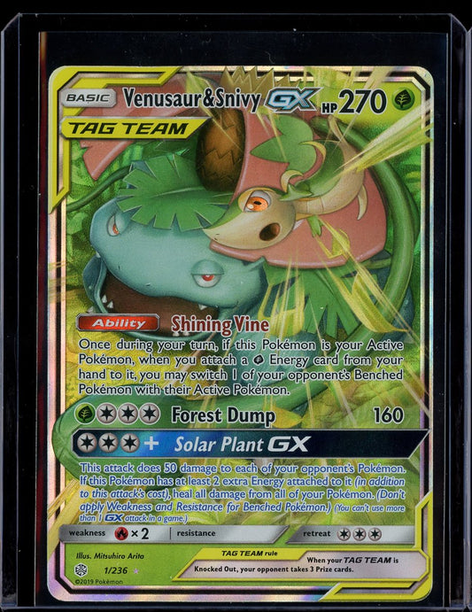 Venusaur & Snivy GX #1