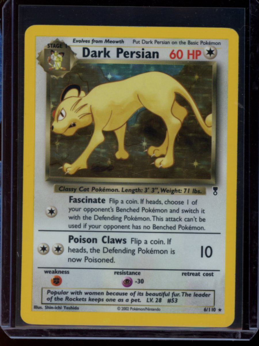 Dark Persian #6