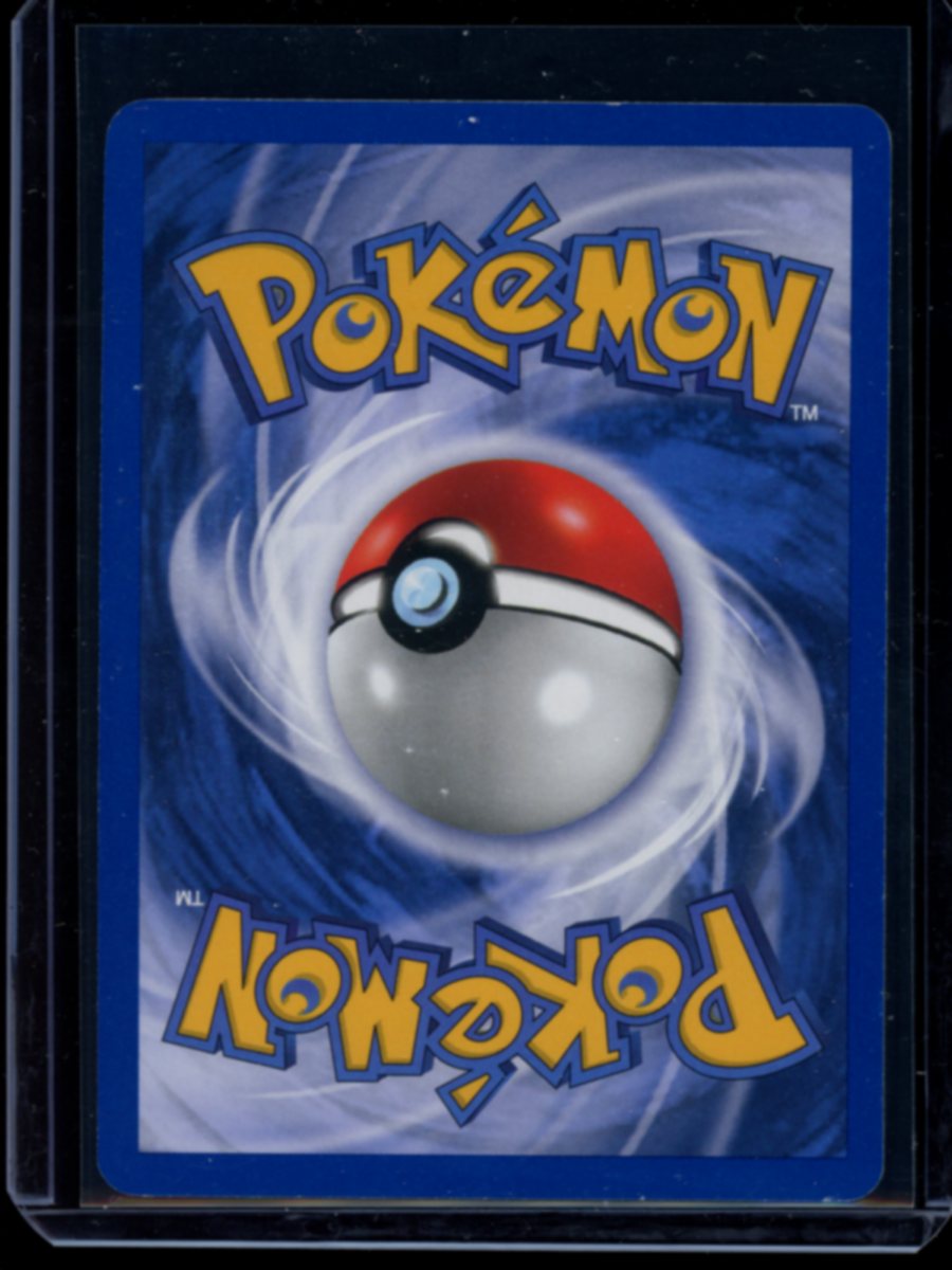 Eevee (WOTC) #11